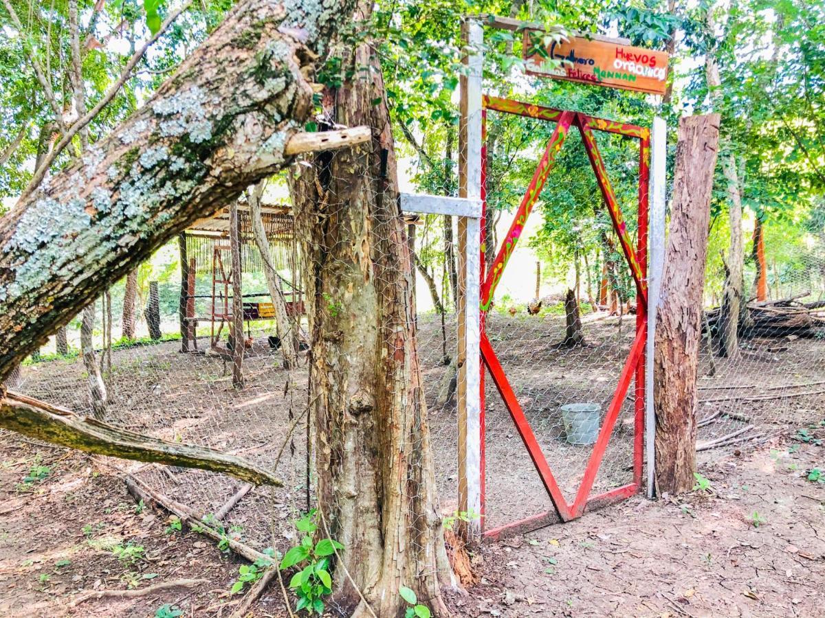 Cabanas Mannan Tanchachín Extérieur photo