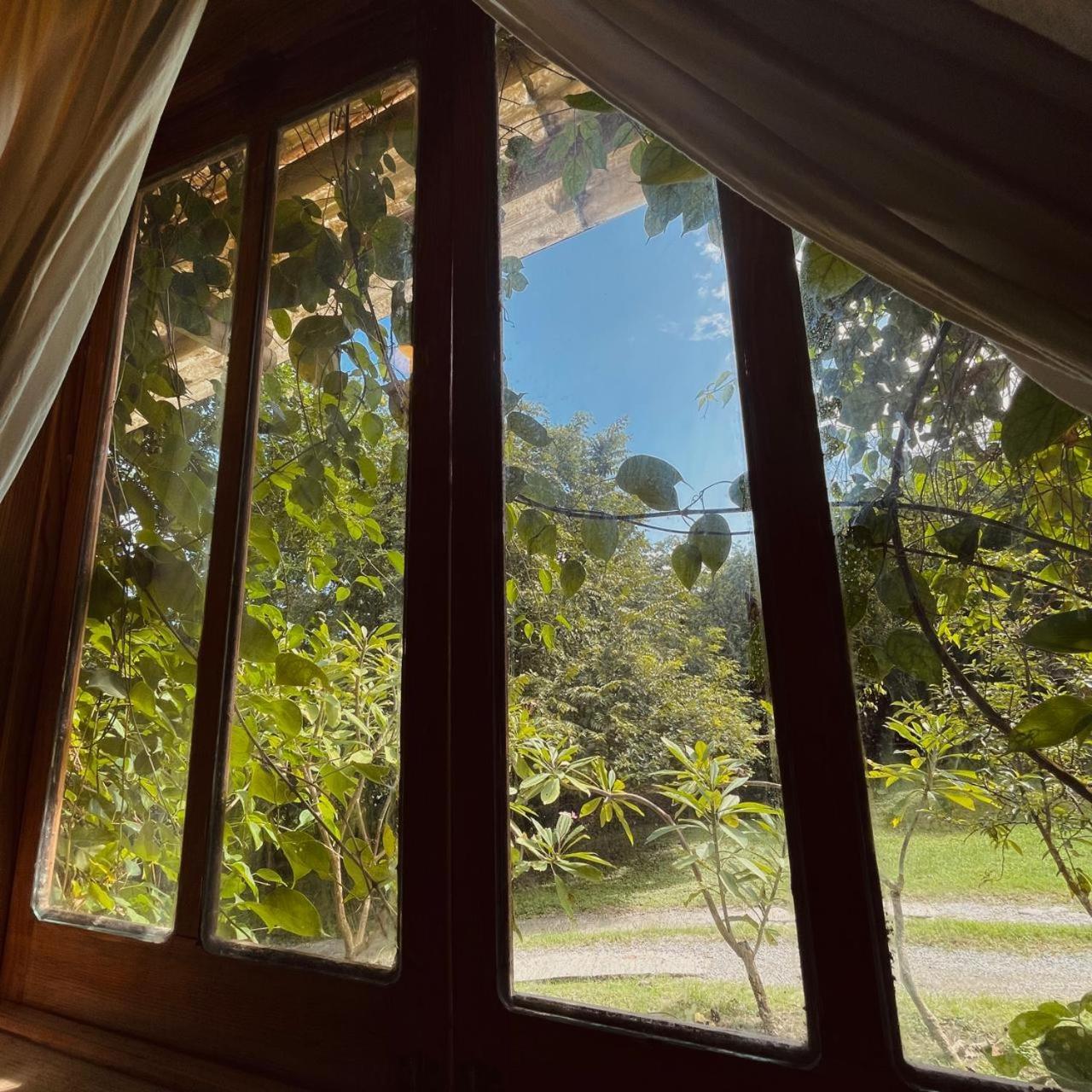 Cabanas Mannan Tanchachín Extérieur photo